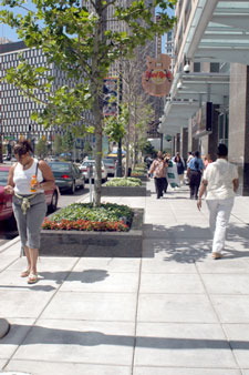 street03-225.jpg
