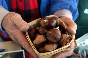 chestnuts-300.jpg