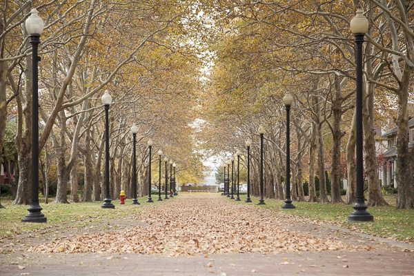 Pallister Street in New Center. Pedestrians only.