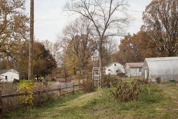 Farms on Grayfield Street in Brightmoor