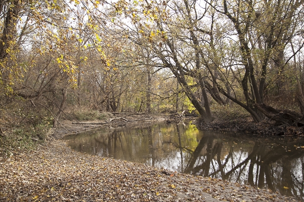 The banks of the Rouge River in Eliza Howell Park, a bookend of the Brightmoor Farmway