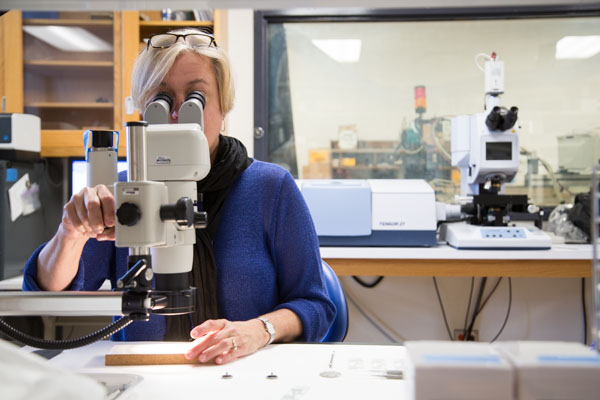 Cathy Selvius DeRoo, research scientist at the Detroit Institute of Arts