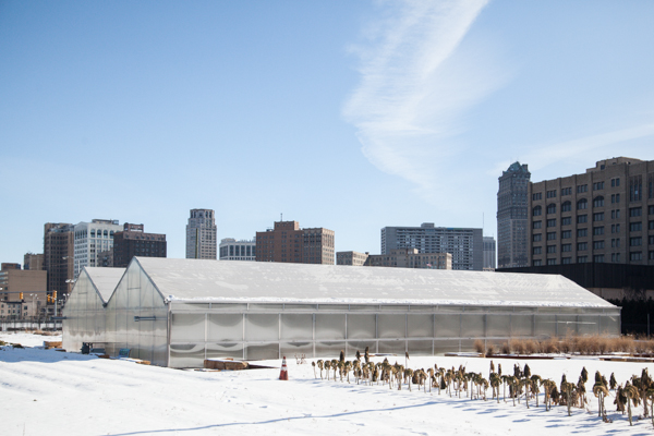Plum Street Market Garden