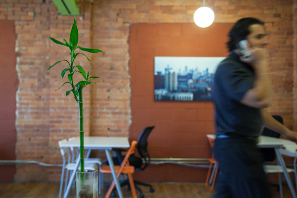 Bamboo Detroit