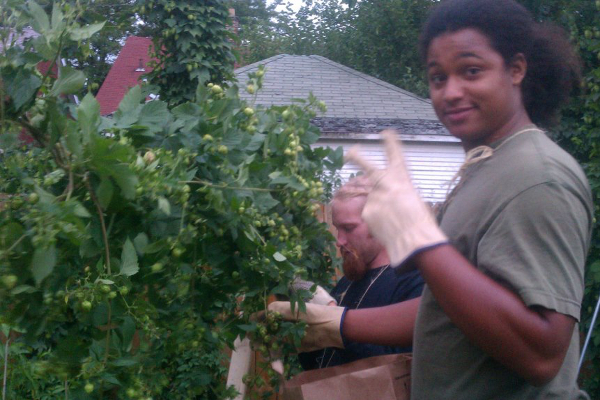 Detroit-grown hops