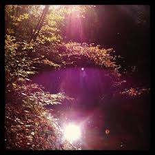 The Rouge River in Eliza Howell Park