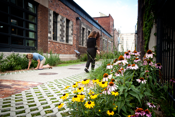 Green Alley next to the Green Garage