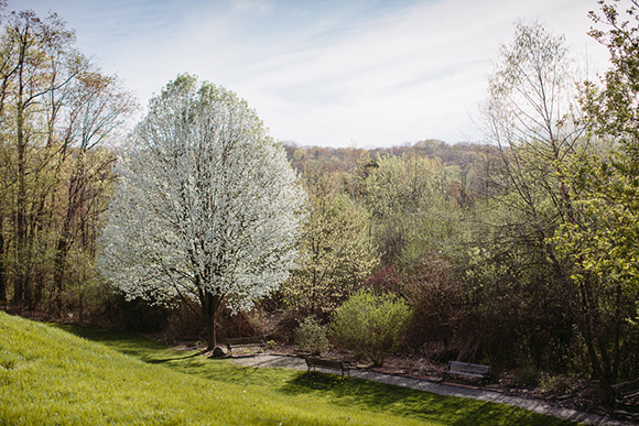 Heritage Park in Farmington Hills