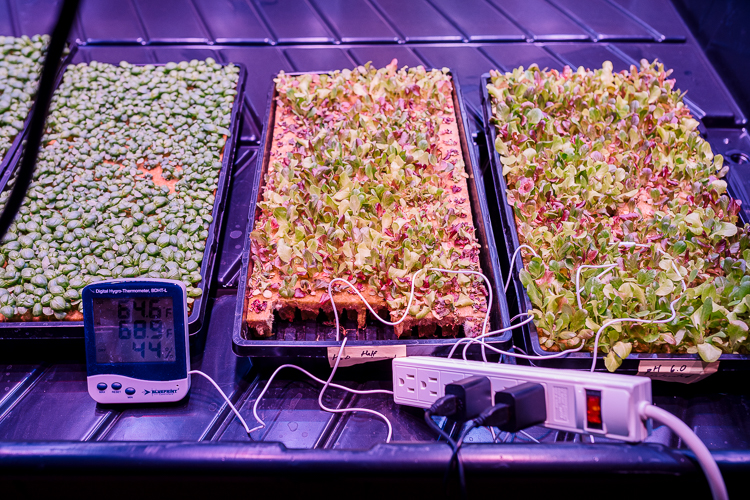 Test plants at Planted