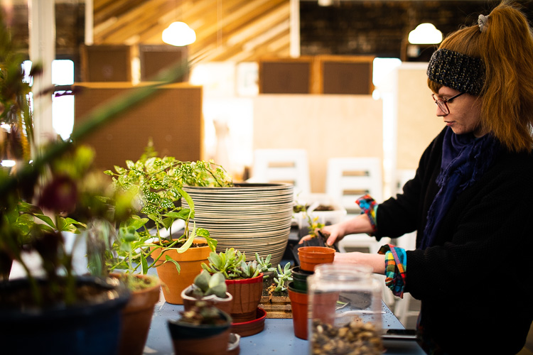 Assembling plants for sale at POST