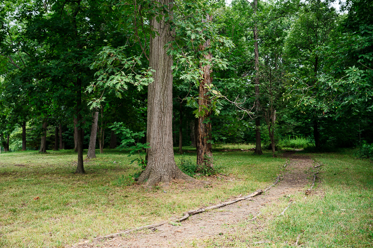 A trail in Rouge Park