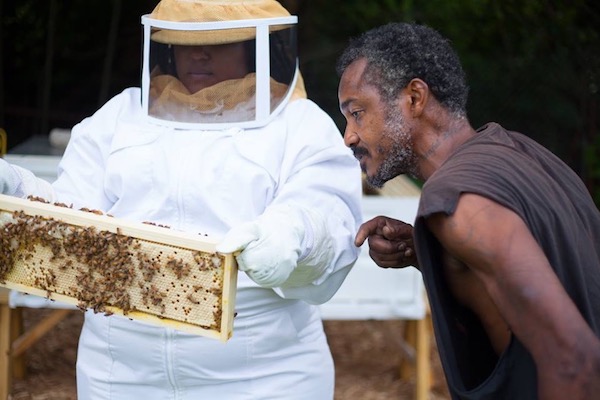 Nicole Lindsey, co-founder and beekeeper at Detroit Hives, displays a brood comb frame to Jamar Briggs, an East Warren resident