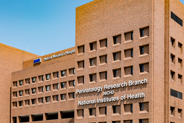 DMC Hutzel Women's Hospital