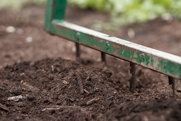 A broad fork used to aerate soil