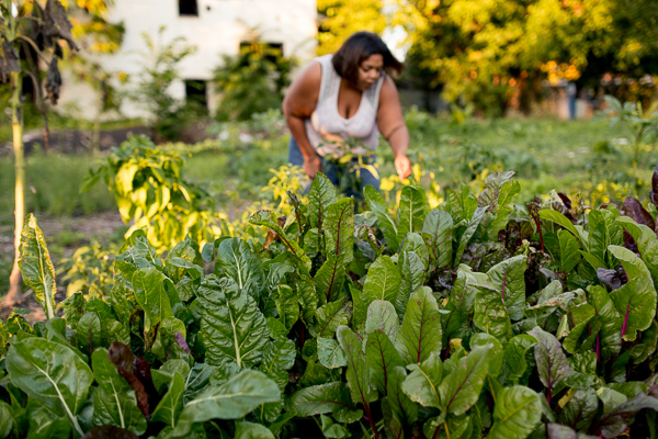 Cole working on her farm