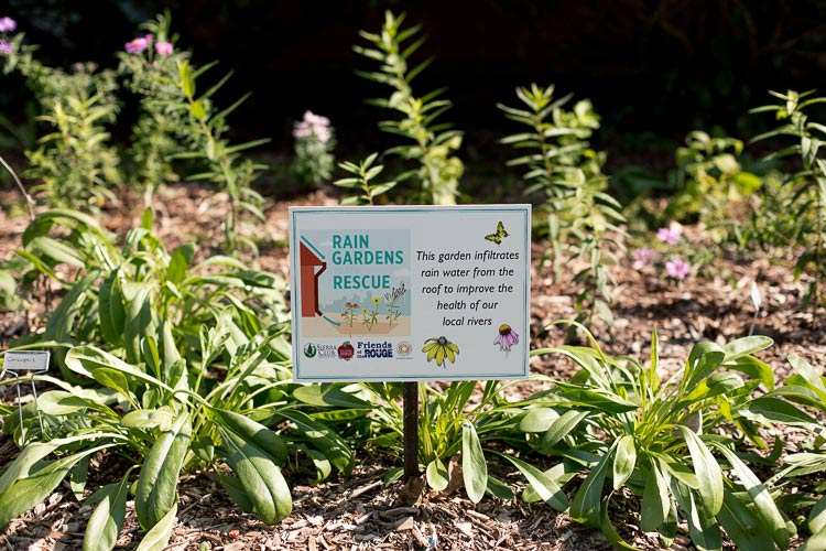 Rain garden at Grace Church of Nazarene on Hoover St in Detroit. Photo by Nick Hagen.