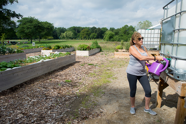 People for Palmer Park president Rochelle Lento fills a watering can at the park's community garden