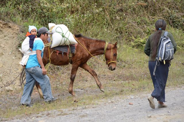 Talea de Castro farmers haul beans - photo by Lisa Luevanos