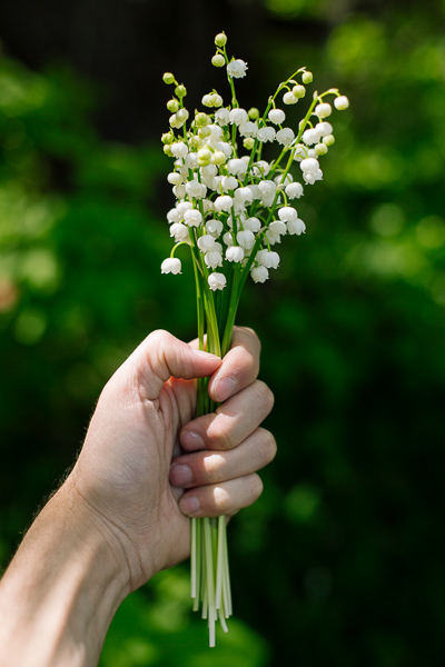 Lily of the valley