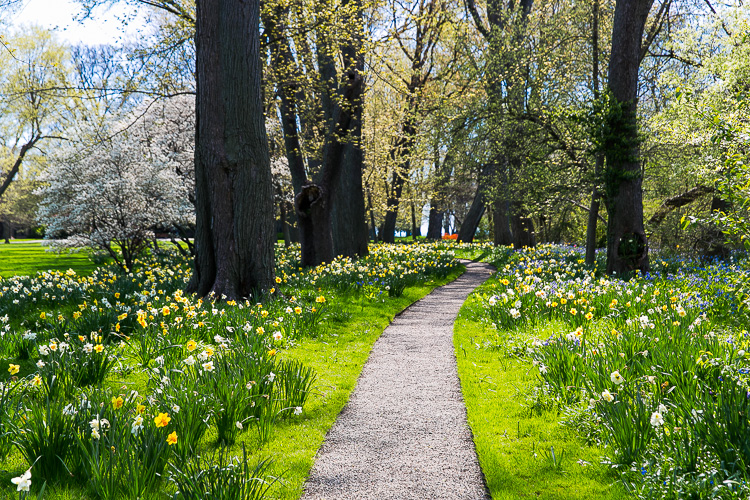 Trail on the Edsel and Eleanor Ford House grounds