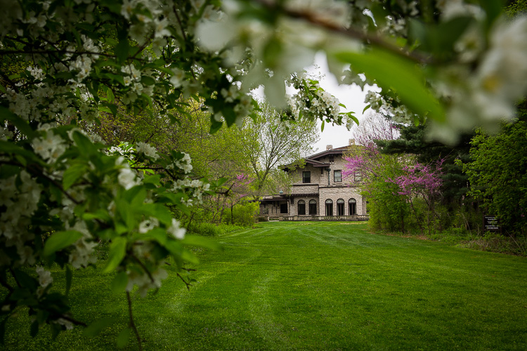A "delayed view" at the Ford Estate