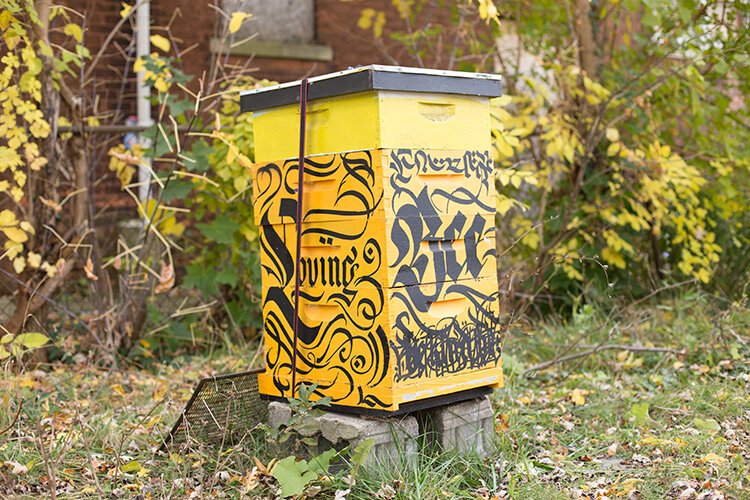 A beehive provides part of the horticultural education Tammy Black fosters at green spaces on Manistique Street. 