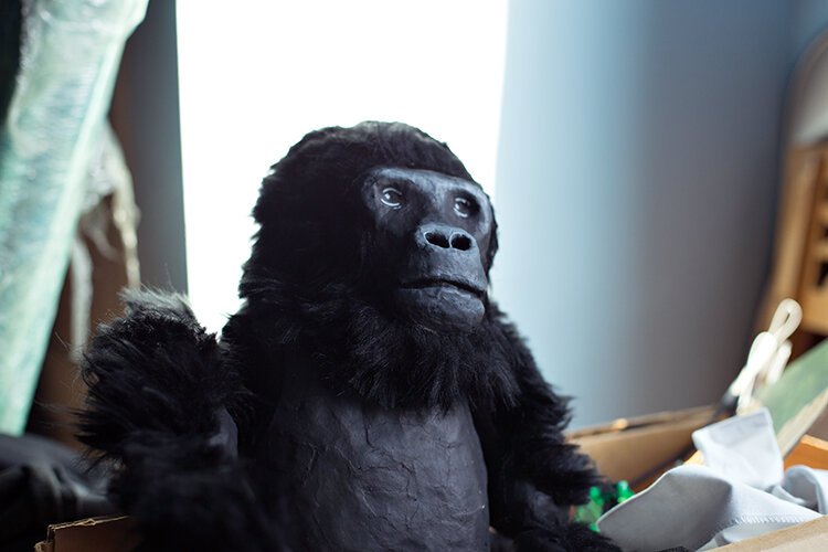 One of the puppets from the Zoo Stories series, created by the Carrie Morris Arts Production. 