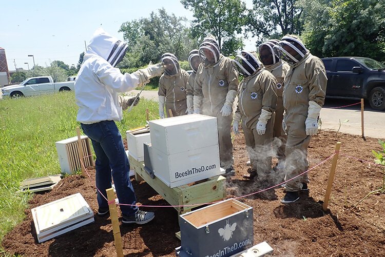Honeybee hives at FCA's Sterling Heights Stamping Plant are thriving.