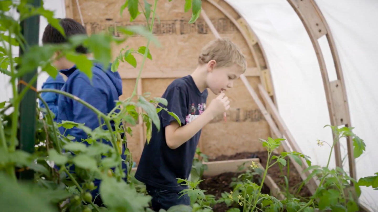 Northport Public Schools students enjoy their school greenhouse.