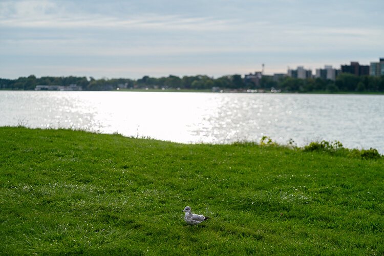 Lee likes to escape to Belle Isle to "enjoy the city in a less city-like space."