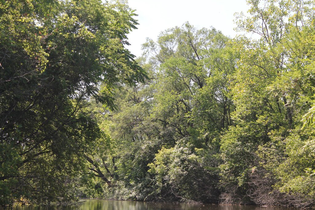 Ecorse Creek. Photo by Quentin Rodriguez