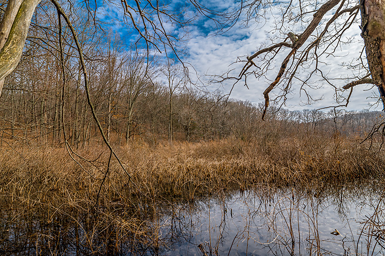 Park Lyndon County Park.