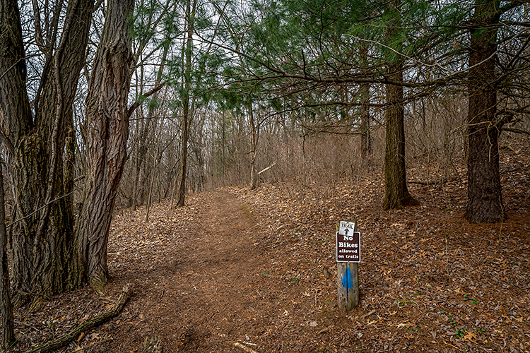 The Waterloo-Pinckney Trail at Park Lyndon County Park.
