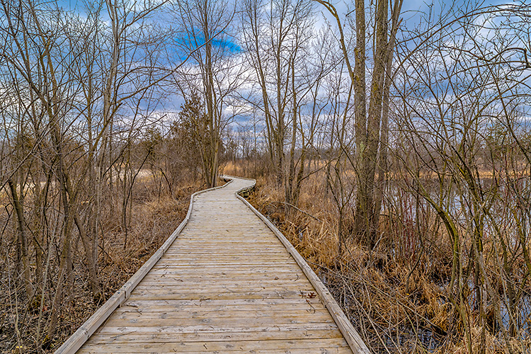 Independence Lake County Park.