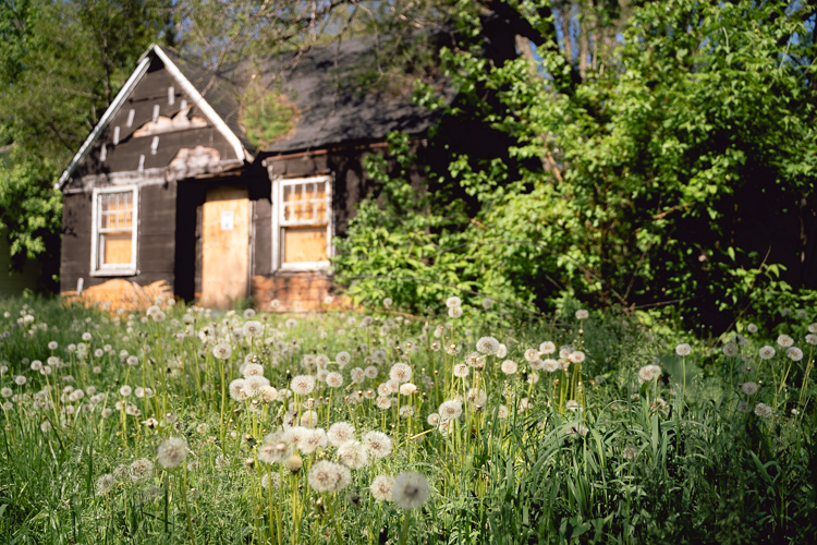 Photo by Stephen Koss.