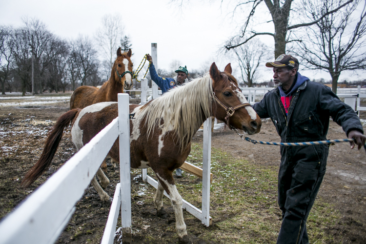 Elroy Reese brings a horse into the barn.