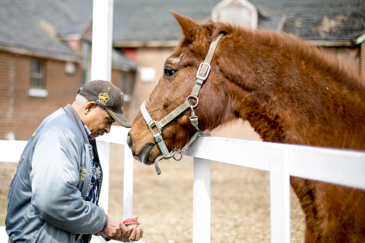 Sgt. James Mills interacts with a horse.