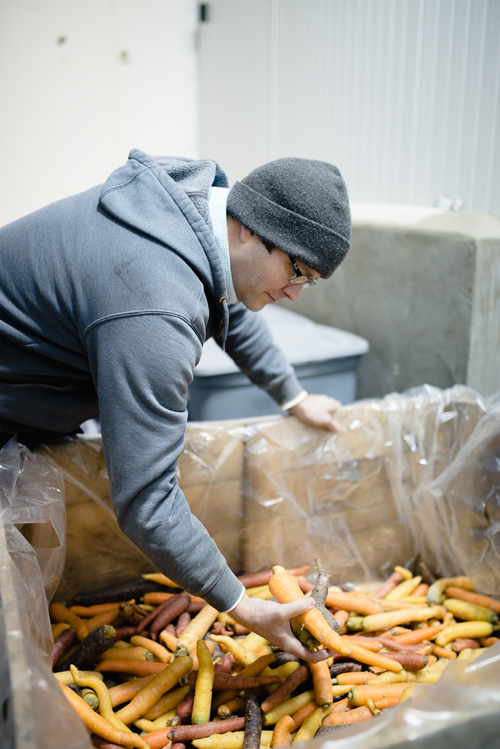 Brandon Seng inspects a rainbow of Michigan-grown carrots.