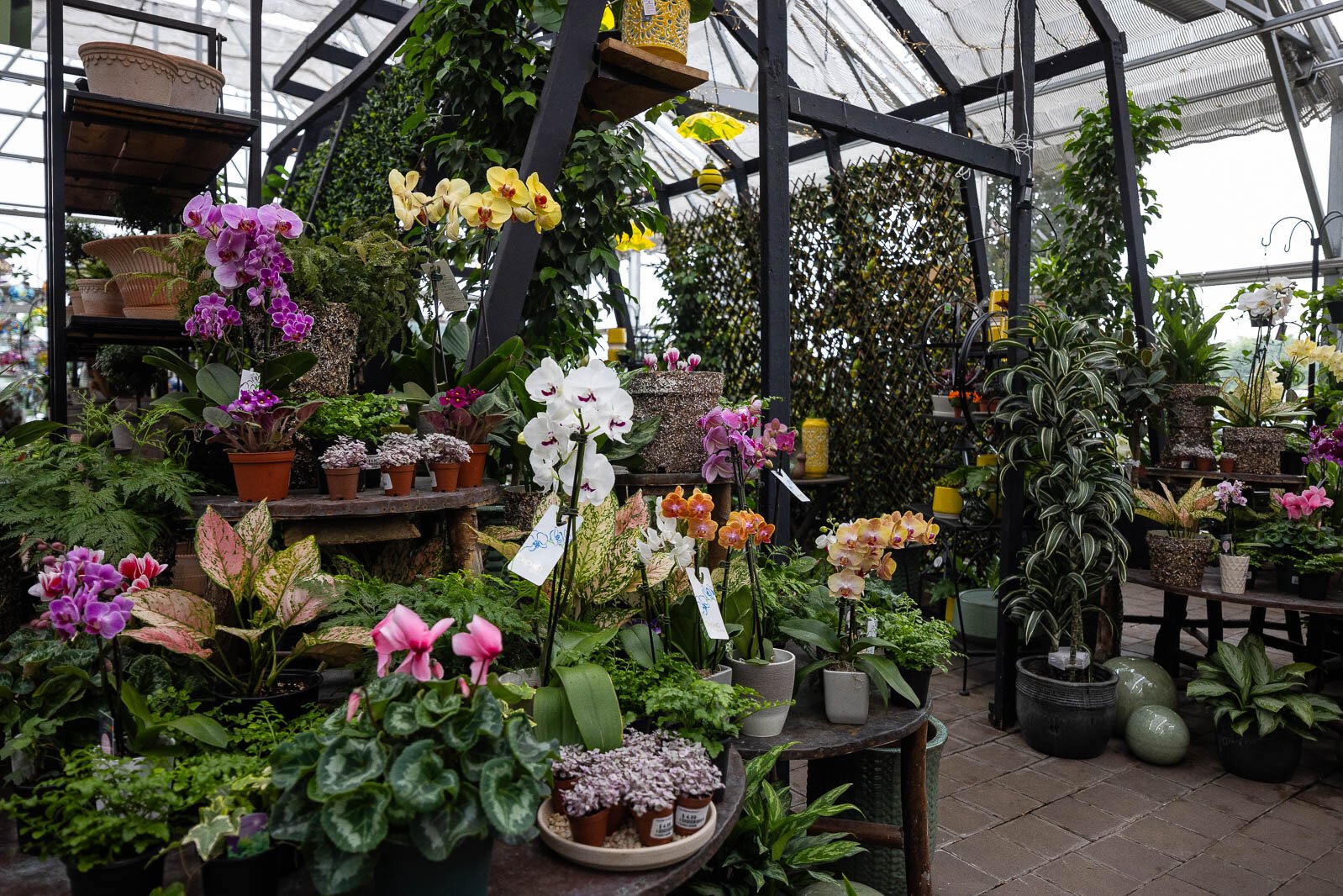 Ray Wiegand’s Nursery 