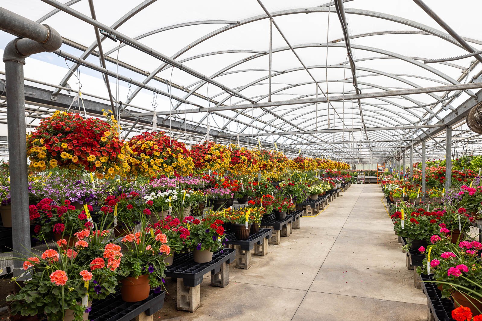 Deneweth’s Garden Center 