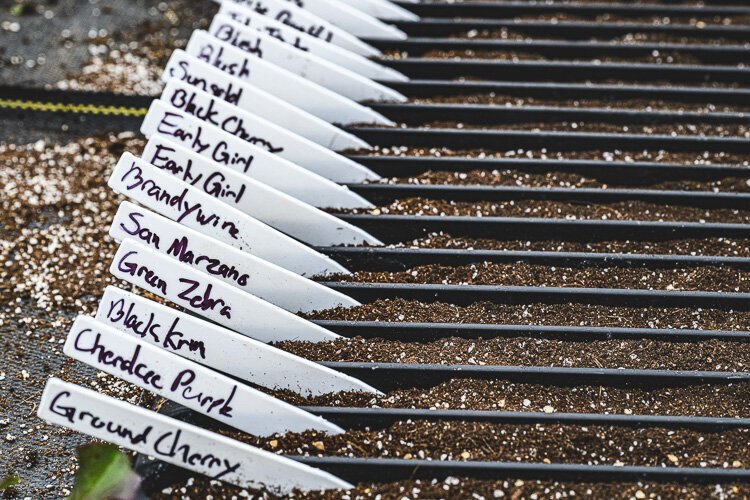 La granja de Trinity Health cultiva verduras durante todo el año.