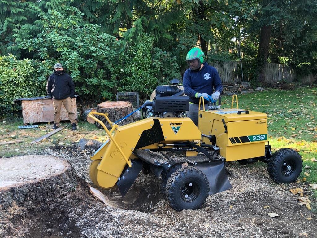 Photo: Hardwork Tree-cutting and Landscape / Facebook.