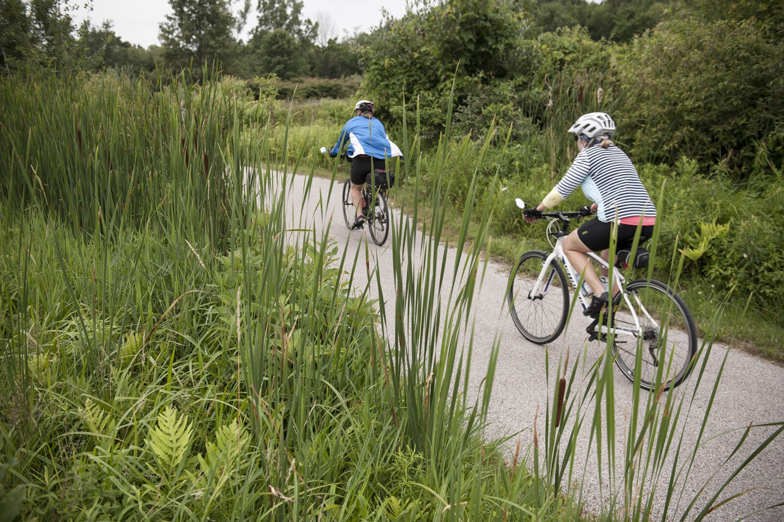 Friends cycling in Millennium Park in Walker.