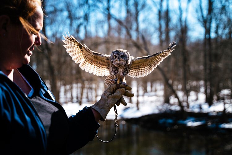 Mortimer spreads his wings on Christina Funk's hand. Mortimer's left eye is visually impaired.