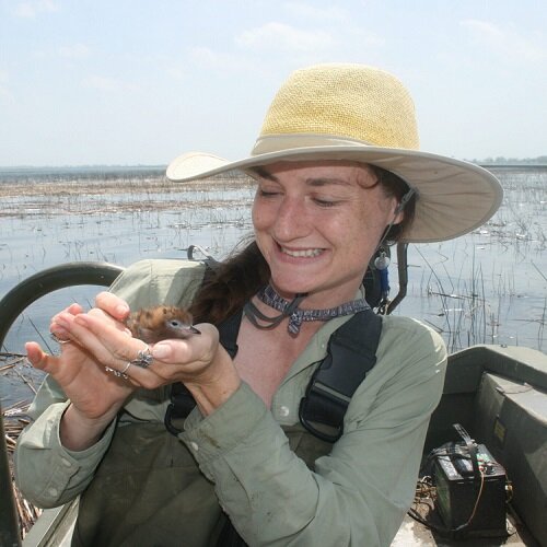 Ava Landgraf (Detroit Audubon)