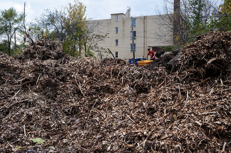 Photo: Arboretum Detroit.