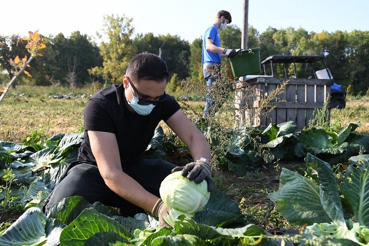 Photo supplied/Forgotten Harvest.