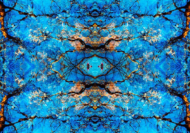 "Fish" by S. Kay Young