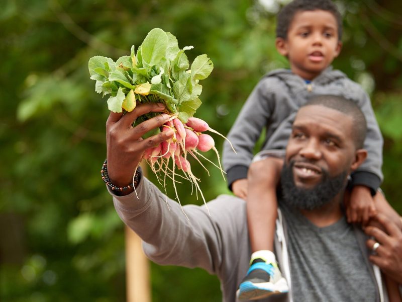 A father selects fresh-picked radishes at a local farm stand.