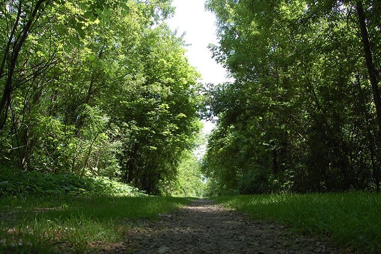 Clinton River Trail